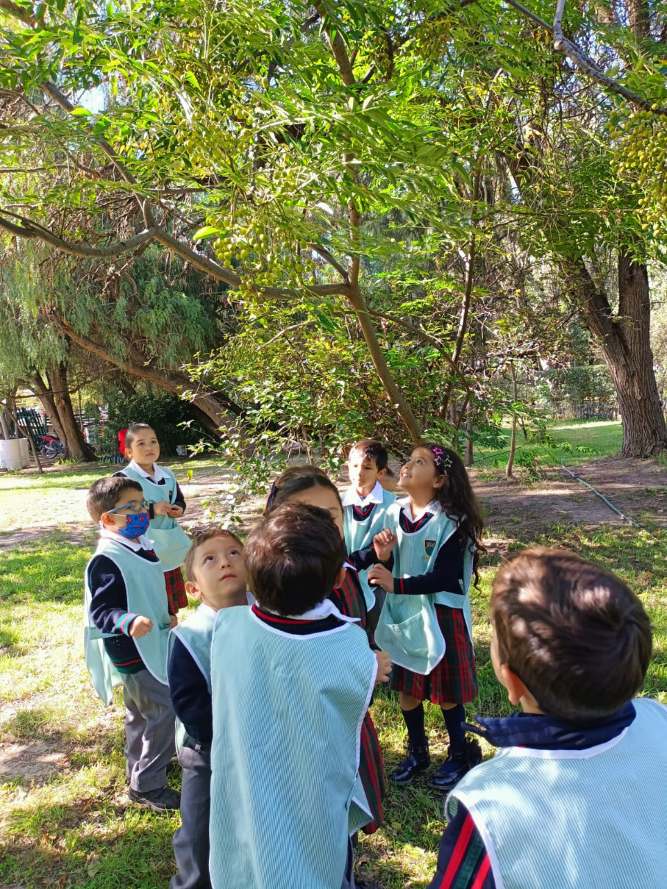IMG-20221014-WA0038