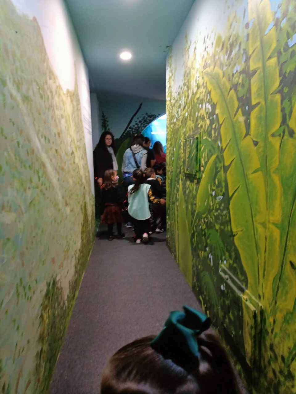 IMG-20221014-WA0061