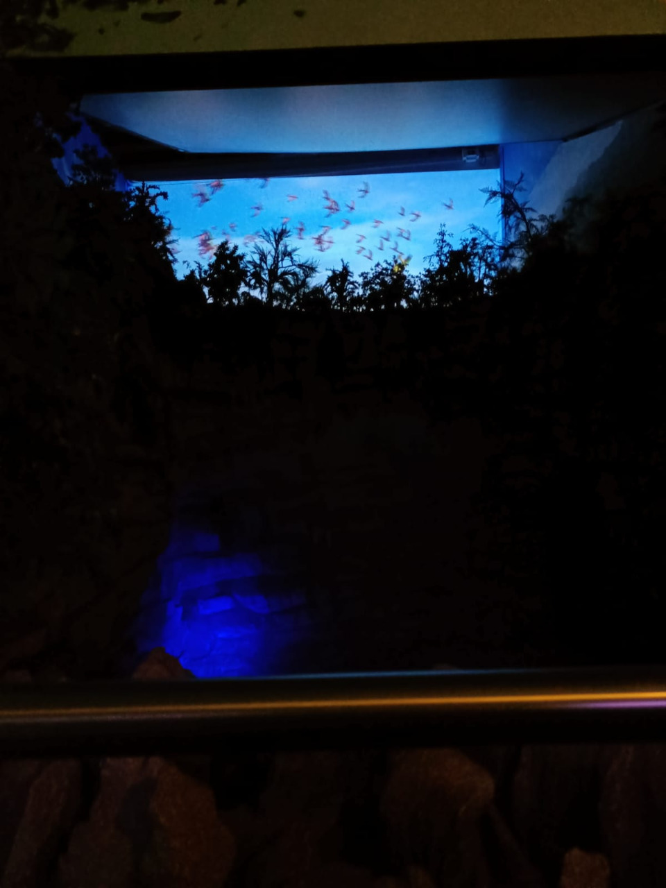IMG-20221014-WA0064
