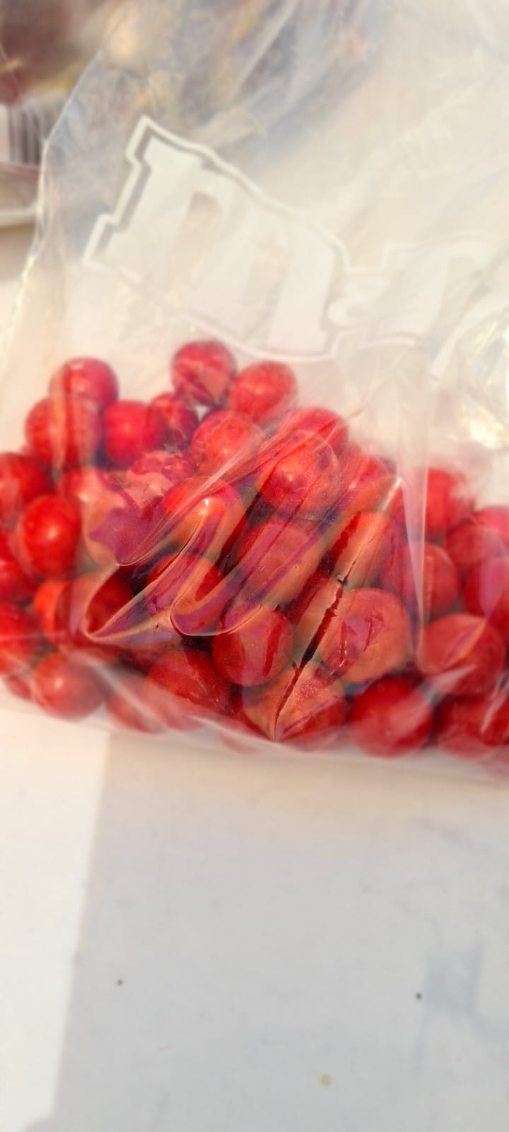 IMG-20230322-WA0012