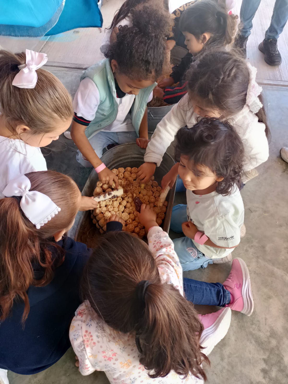 IMG-20231020-WA0240