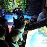 IMG-20241015-WA0126