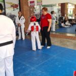 Multimedia (12)